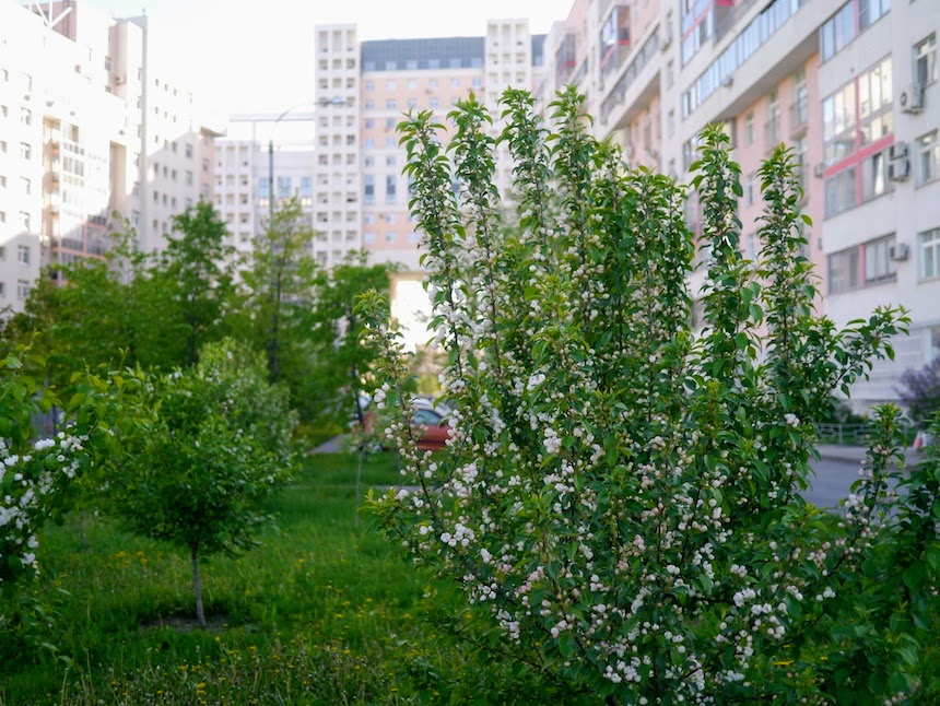 Хорошевский