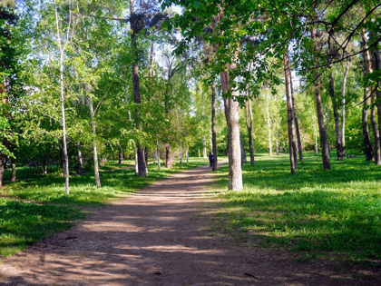 Хорошевский