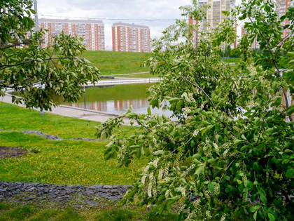 Марьино