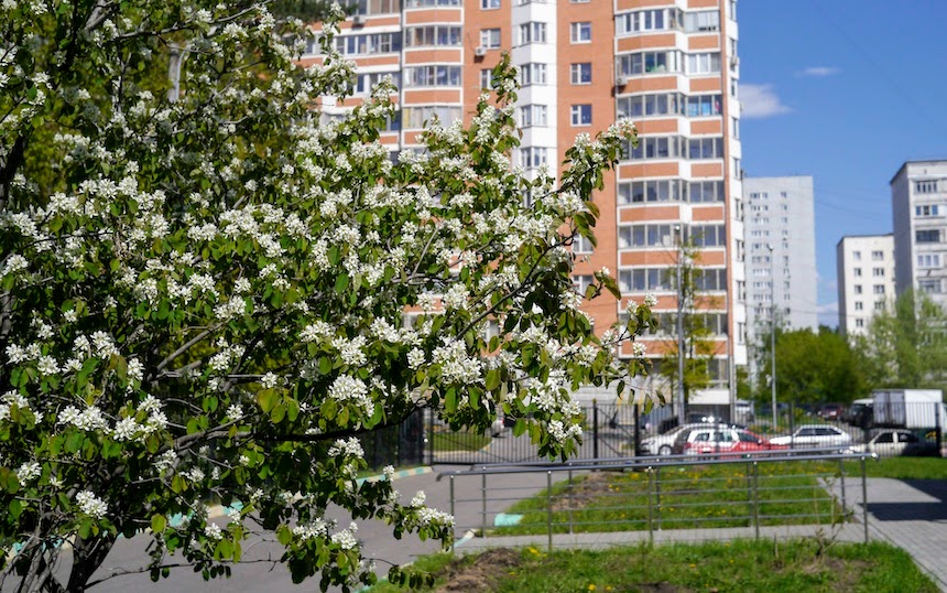 Некрасовка