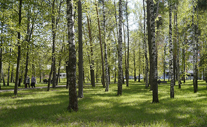 Некрасовка