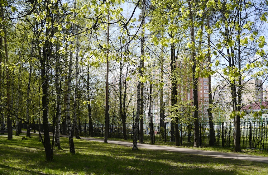 Некрасовка