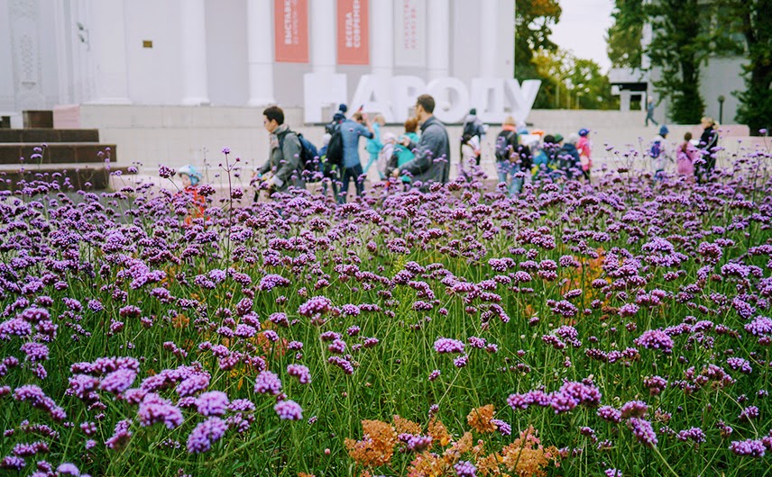 Останкинский район