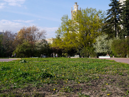 Раменки