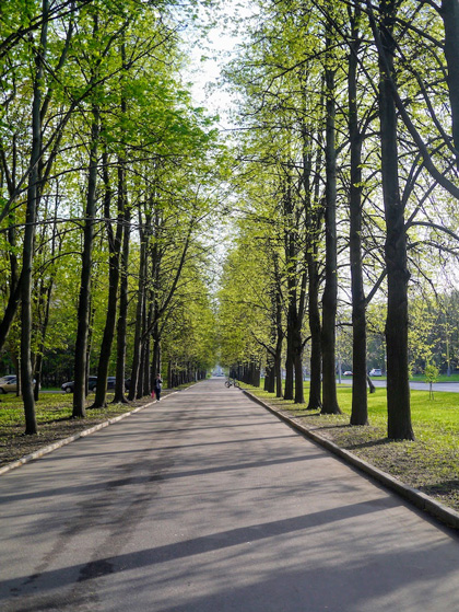 Раменки
