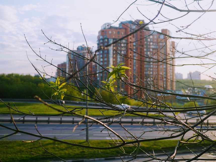 Раменки