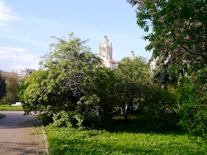 Раменки