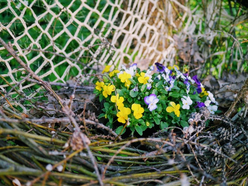 Раменки